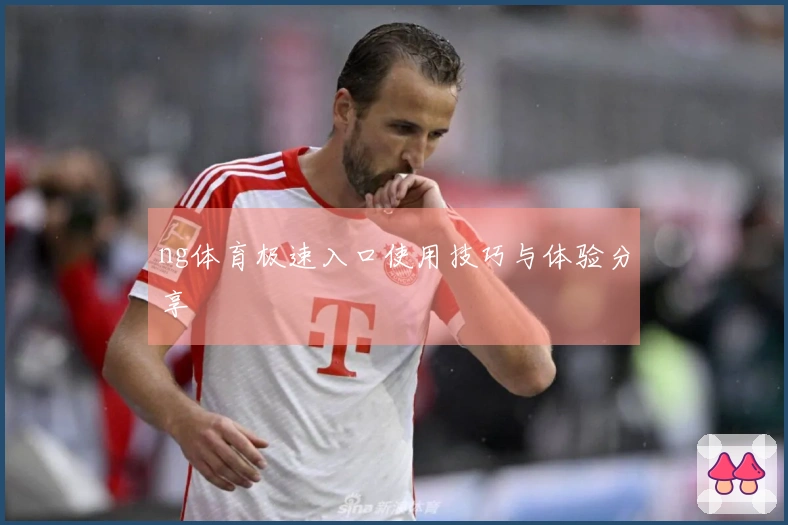 ng体育极速入口使用技巧与体验分享