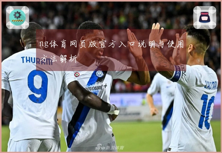 ng体育网页版官方入口说明与使用方法解析