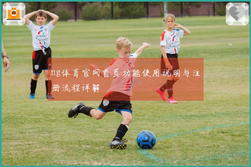 ng体育官网首页功能使用说明与注册流程详解