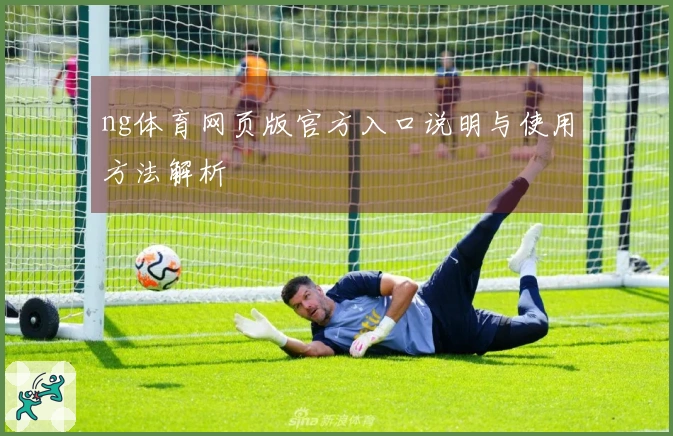 ng体育网页版官方入口说明与使用方法解析