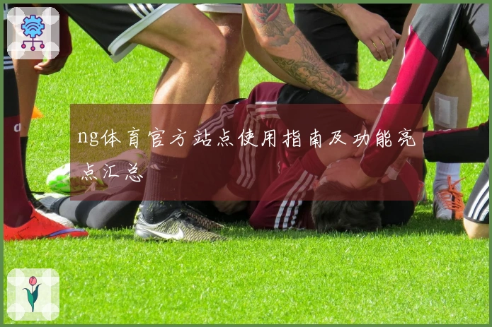 ng体育官方站点使用指南及功能亮点汇总