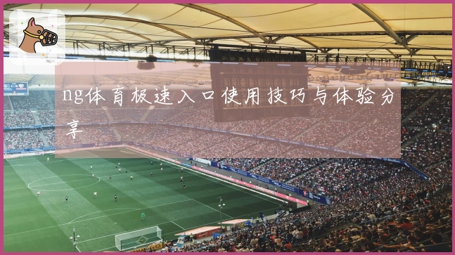 ng体育极速入口使用技巧与体验分享